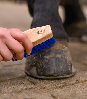 Waldhausen hoevenborstel