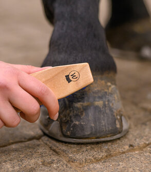 Waldhausen hoevenborstel