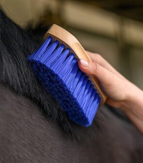 Waldhausen harde borstel