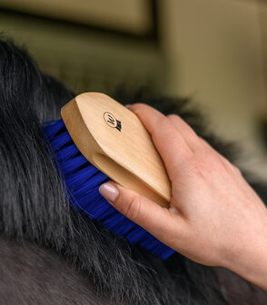 Waldhausen harde borstel