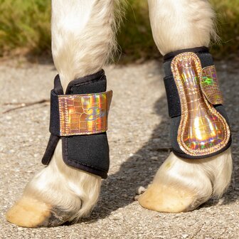 Harry's Horse beenbeschermers Diva Mauvewood