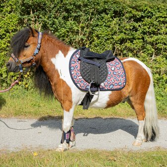 Harry's Horse zadeldek Diva Mauvewood