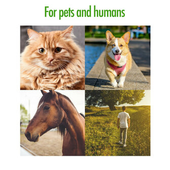 Zenpet Tekentang Tick Tornado