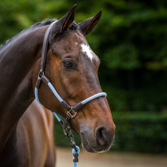 HV Polo halster Franka