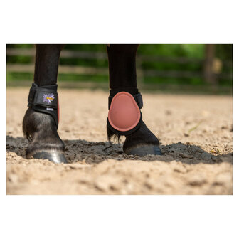 BR Mini Horse strijklappen