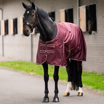 Imperial Riding Regendeken Basic 200 Gram