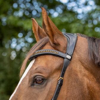 QHP bitloos sidepull hoofdstel Anatomical bruin
