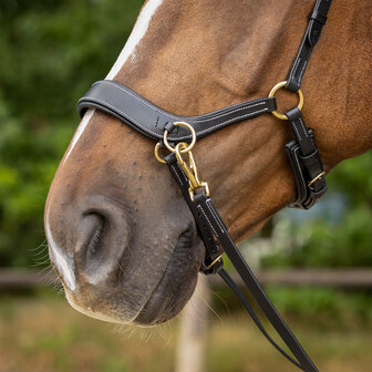 QHP bitloos sidepull hoofdstel Anatomical bruin