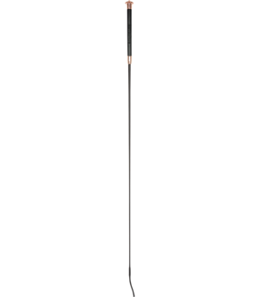 Waldhausen dressuurzweep Noblesse