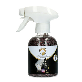 Excellent Hi Gloss Glitter Spray 250 ml