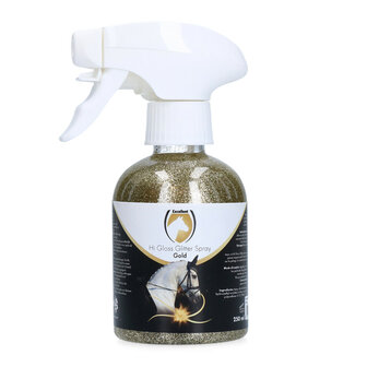 Excellent Hi Gloss Glitter Spray 250 ml