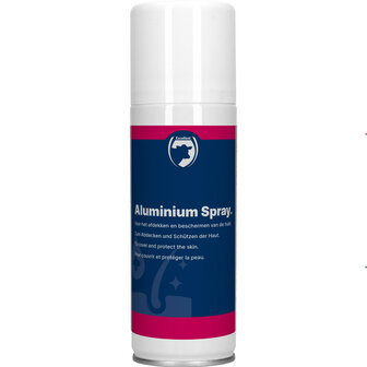 Excellent Aluminium Spray 200 ml