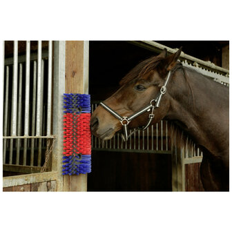 Excellent schuurborstel voor paard, rund en geit