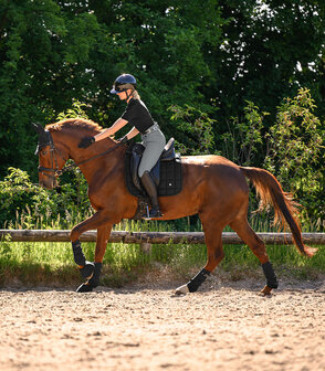 Waldhausen zadeldek Breath Performance