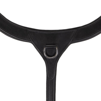 QHP Borsttuig met handvat