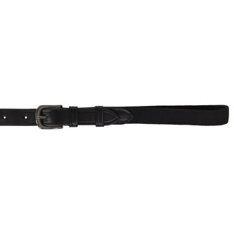 QHP Borsttuig met handvat