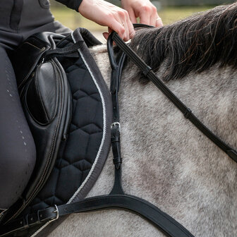 QHP Borsttuig met handvat