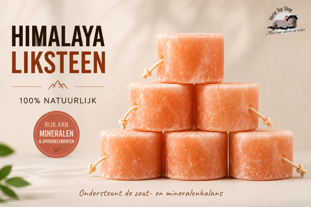 Himalaya liksteen
