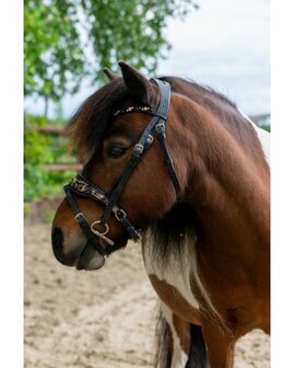 HB hoofdstel Showtime Luipaard little sizes