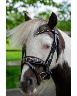 HB hoofdstel Showtime Luipaard little sizes
