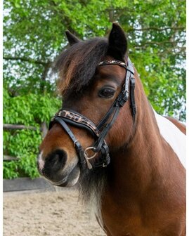 HB hoofdstel Showtime Luipaard little sizes