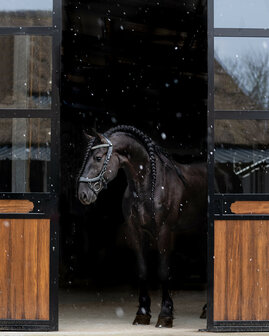 PresTeq Hoofdstel FaySport Glitter
