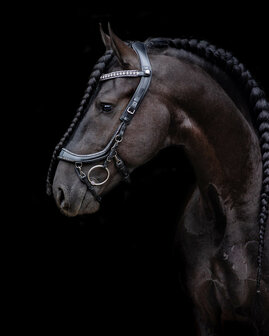 PresTeq Hoofdstel FaySport Glitter
