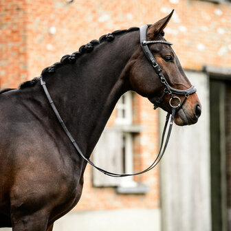 PresTeq Hoofdstel FaySport Glitter
