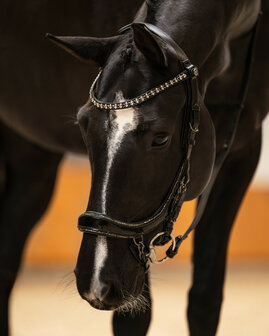 PresTeq Hoofdstel FaySport Glitter