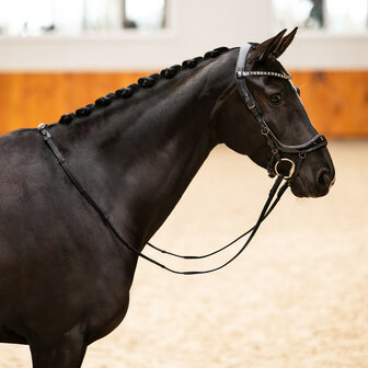 PresTeq Hoofdstel FaySport Glitter