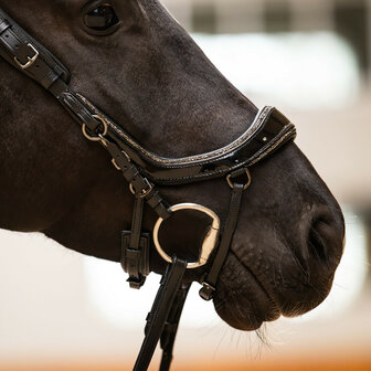 PresTeq Hoofdstel FaySport Glitter