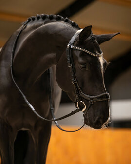 PresTeq Hoofdstel FaySport Glitter