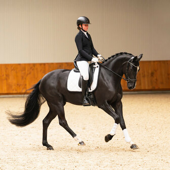 PresTeq Hoofdstel FaySport Glitter
