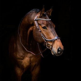 PresTeq Hoofdstel FaySport Glitter