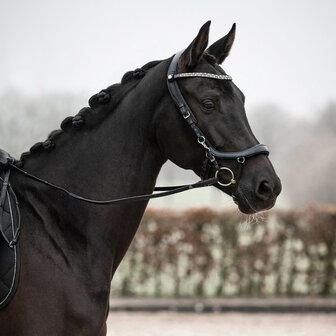 PresTeq hoofdstel FaySport Shine