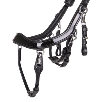 PresTeq hoofdstel FaySport Shine