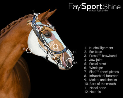 PresTeq hoofdstel FaySport Shine