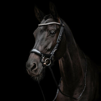 PresTeq hoofdstel FaySport Shine