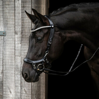 PresTeq hoofdstel FaySport Shine
