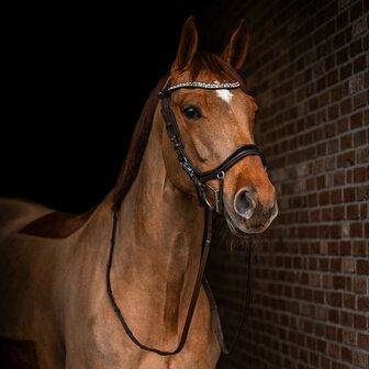PresTeq hoofdstel FaySport Shine