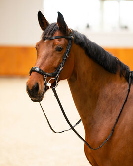 PresTeq hoofdstel FaySport