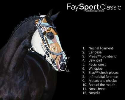 PresTeq hoofdstel FaySport Classic