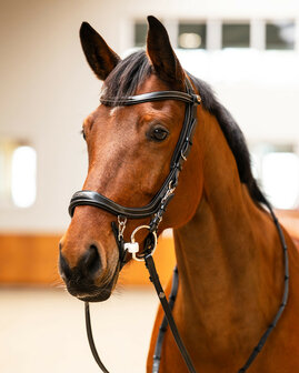 PresTeq hoofdstel FaySport Classic