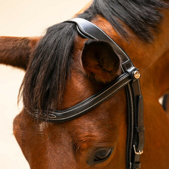 PresTeq hoofdstel FaySport Classic