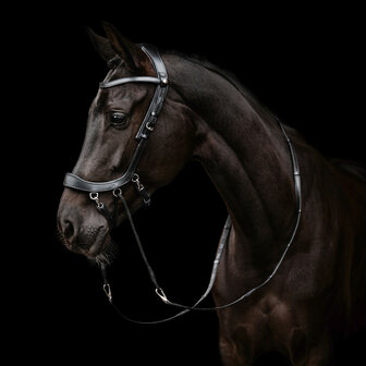 PresTeq bitloos hoofdstel FaySport
