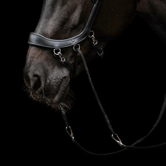PresTeq bitloos hoofdstel FaySport