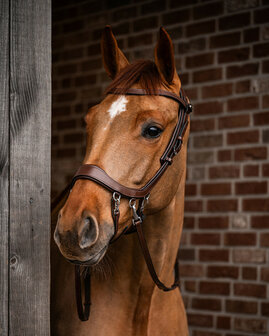PresTeq bitloos hoofdstel FaySport