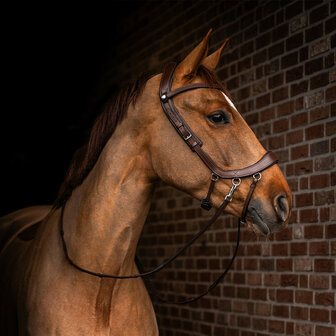 PresTeq bitloos hoofdstel FaySport
