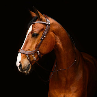 PresTeq bitloos hoofdstel FaySport