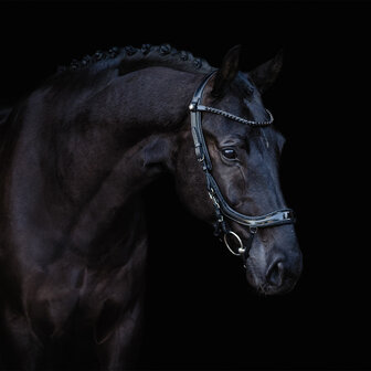 PresTeq hoofdstel FaySport Blackpearl